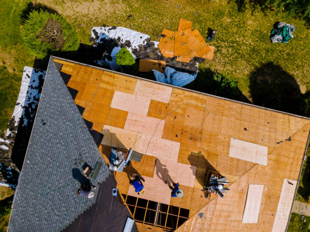 Quick and Trustworthy Emergency Roof Repair Services in Town And Country, WA